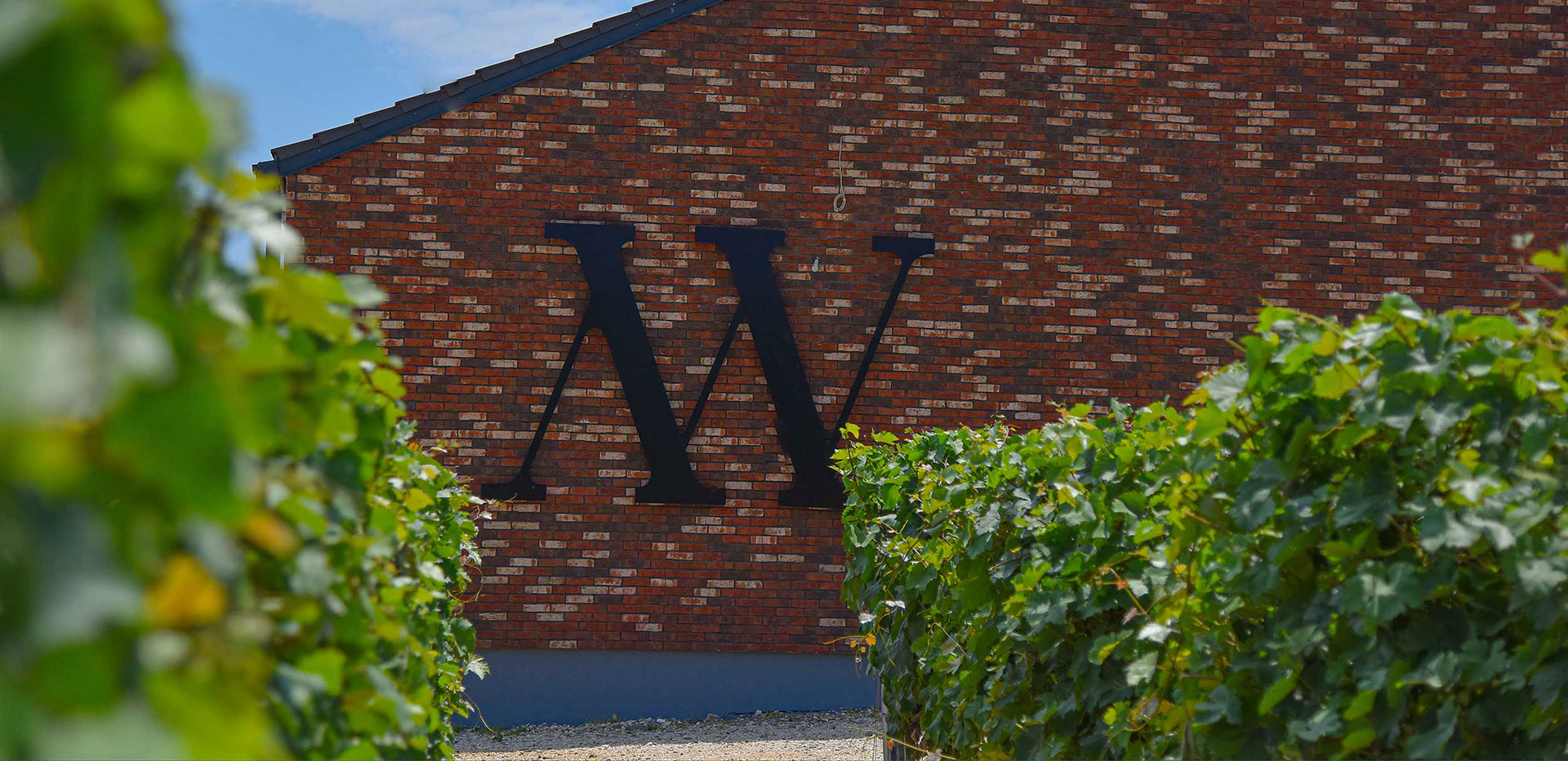 Matalj Vinarija, SRB